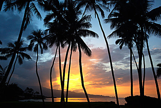 日落,北岸,毛伊岛,夏威夷,美国