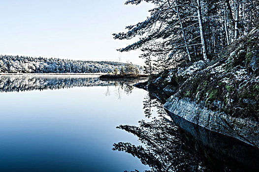 湖,树,冬天