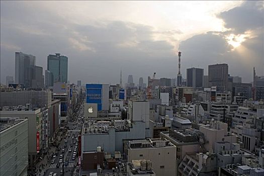 东京,日本,俯视,远景