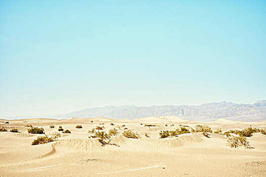 风景,沙丘,死谷,加利福尼亚,美国