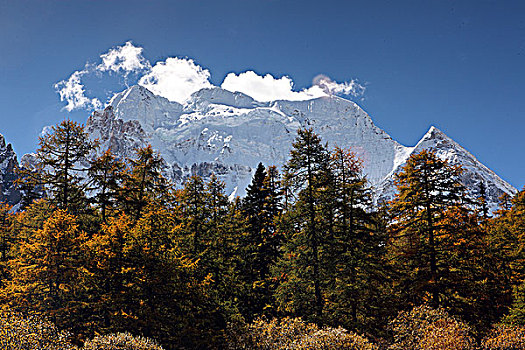 四川稻城风景