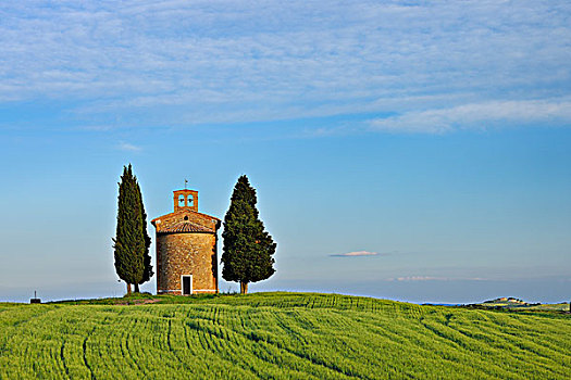 小教堂,柏树,绿色,地点,锡耶纳省,托斯卡纳,意大利