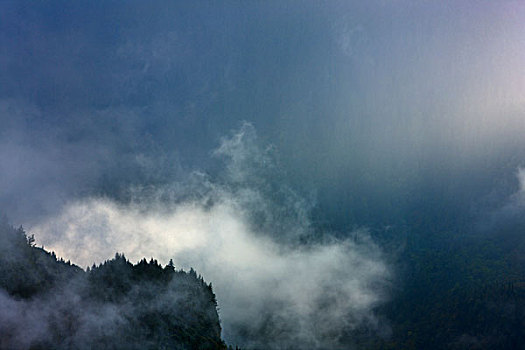 雾,上方,山峦,不列颠哥伦比亚省,海岸,加拿大