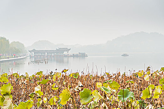 杭州西湖秋景