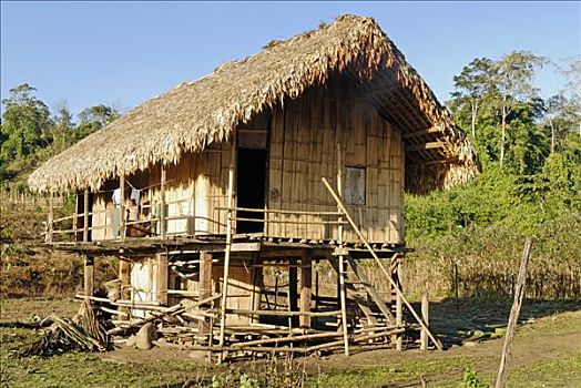 竹子,农舍,少数民族,北方,克钦邦,缅甸,亚洲