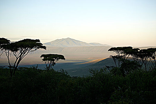 日出,恩戈罗恩戈罗火山口,火山,北方,边缘,恩格罗恩格罗,保护区,坦桑尼亚,非洲