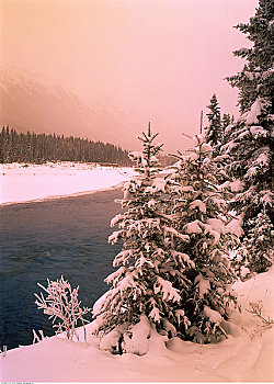 冬天,库特尼国家公园,不列颠哥伦比亚省,加拿大