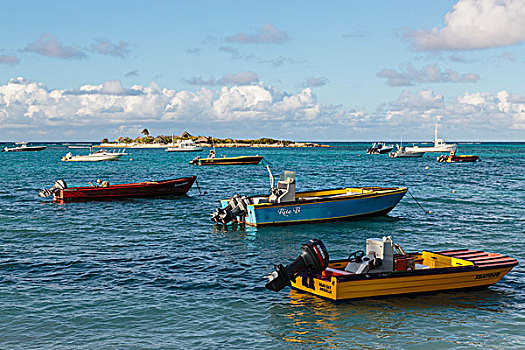 加勒比,安圭拉,小,渔船,停泊,湾