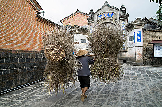 农民,大捆,谷物,干草,收获时节,云南,中国,四月,2009年