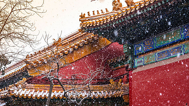 故宫之雪
