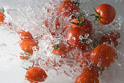 西红柿,落下,水
