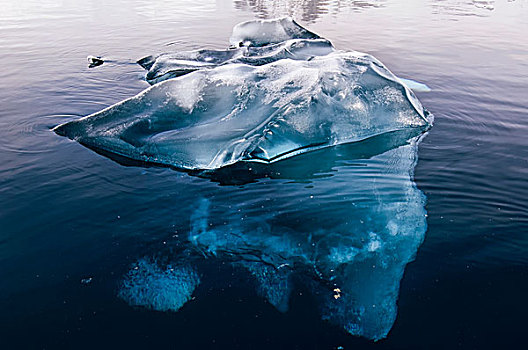 黑冰,天堂湾,南极半岛,南极
