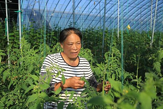 发动机滤清器