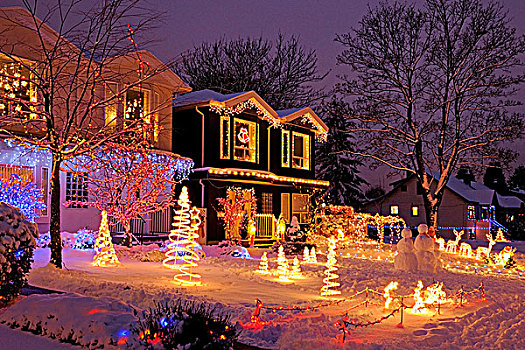 圣诞灯光,展示,温哥华,不列颠哥伦比亚省,加拿大