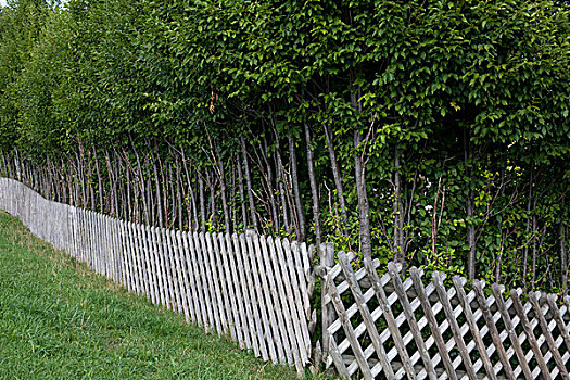花园栅栏