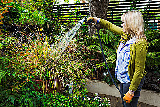 女人,站立,花园,浇水,植物,容器,软管