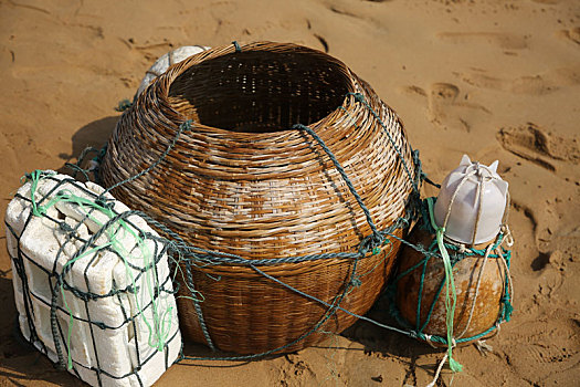 海上丰收节,游客拉上来百米长渔网,看看有啥收获