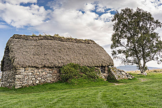 茅草屋顶,摩尔,苏格兰