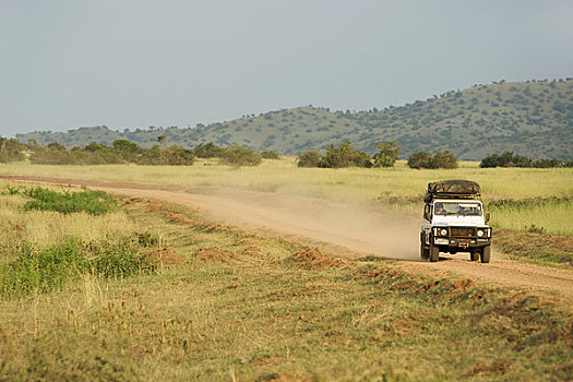 越野车辆,土路,野生动植物保护区,乌干达