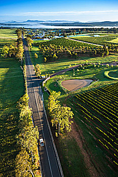 鸟瞰,葡萄酒的国家,附近的,魄可宾,猎人谷,新南威尔士,澳大利亚