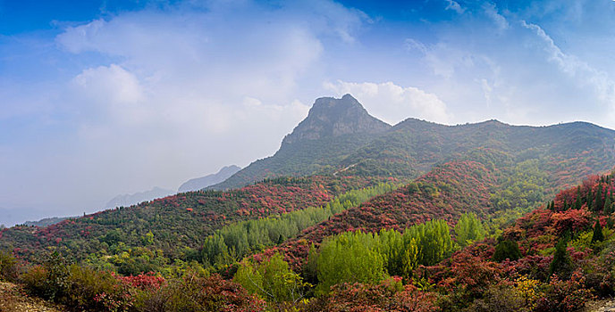 山峰树林