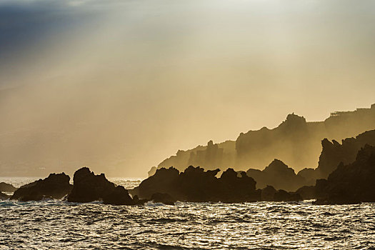 火山岩,岩石海岸,晨雾,特内里费岛,加纳利群岛,西班牙