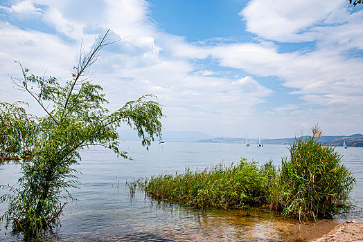 云南玉溪抚仙湖月亮湾湿地公园