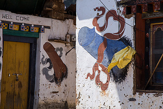 不丹-切米拉康的壁画