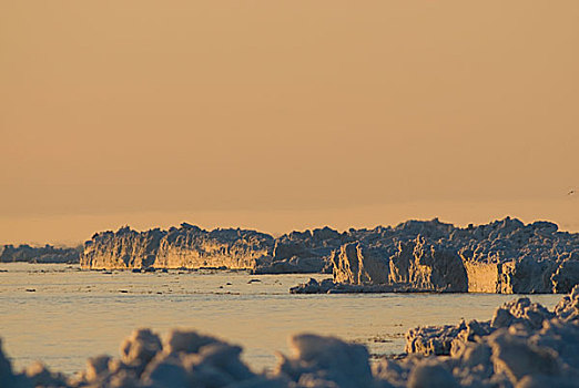 楚科奇海,岸边,手推车,阿拉斯加,景色,风景,边缘,浮冰