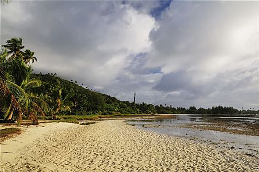海滩,泻湖,拉罗汤加岛,库克群岛