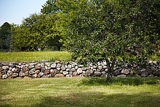石墙,绿色,地点,树,安大略省,加拿大