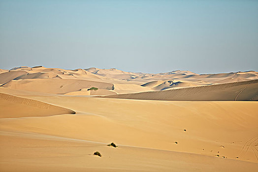 沙丘,靠近,棒,大西洋海岸,纳米比亚,非洲