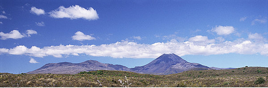 攀升,活火山,东加里罗国家公园,新西兰