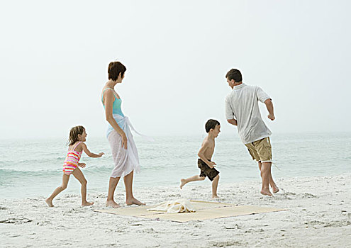 家庭,玩耍,海滩