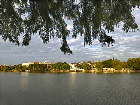 东湖景区,金平湖