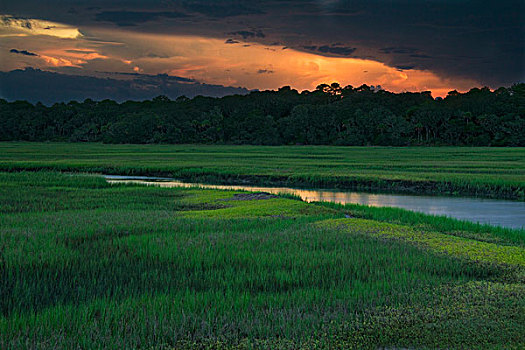湿地,小,岛屿,州立公园,佛罗里达,美国