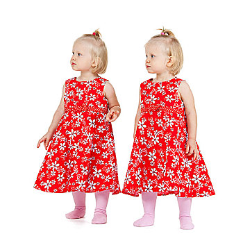 孩子,双胞胎,概念,两个,女孩,红色,服装,看