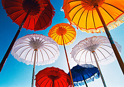 彩色,仪式,伞