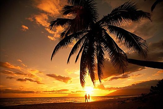 夏威夷,毛伊岛,一个,远景,海滩,日落