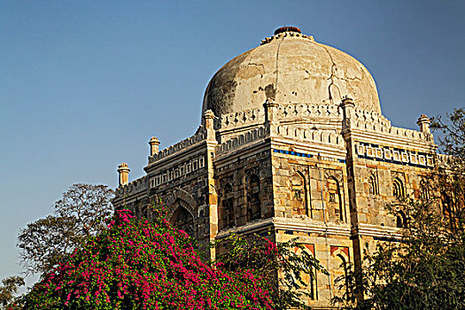 清真寺,花园,新德里,印度