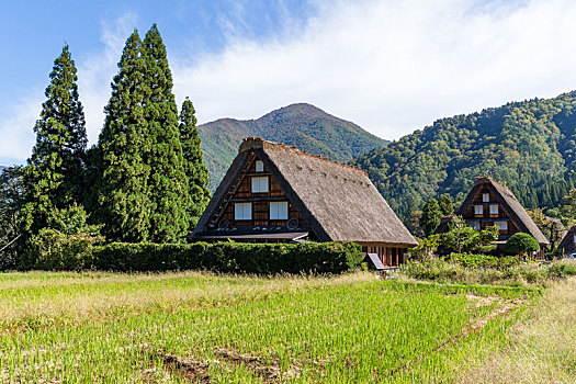 日本,风格,房子
