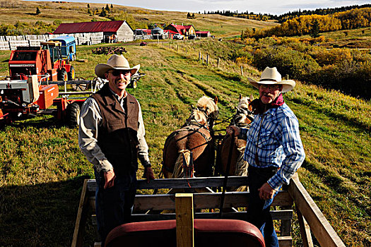 两个,牛仔,马,手推车,萨斯喀彻温,加拿大,北美