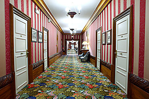 空,酒店,通道,明亮,色彩,地毯,带,壁纸,白色,门,法国,四月,2008年