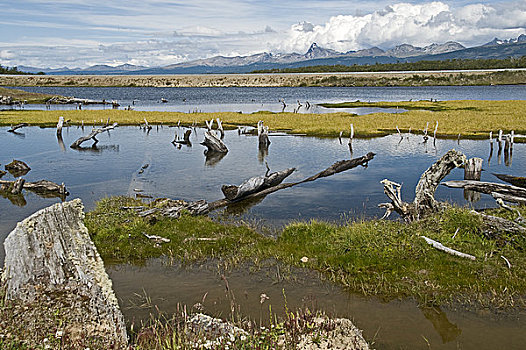 绿色,泻湖,火地岛,阿根廷