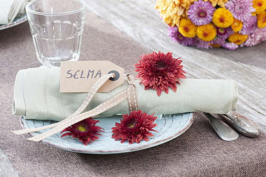 菊花,花,餐巾
