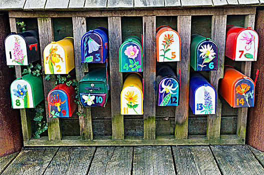 彩色,野花,涂绘,邮箱,船屋,海上,乡村,格兰弗岛,温哥华,不列颠哥伦比亚省,加拿大