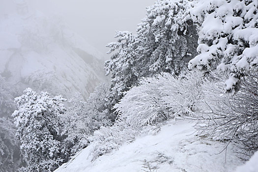 雪后华山宛如画