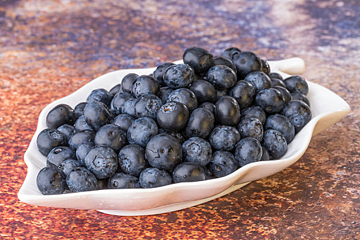 蓝莓,棚拍特写