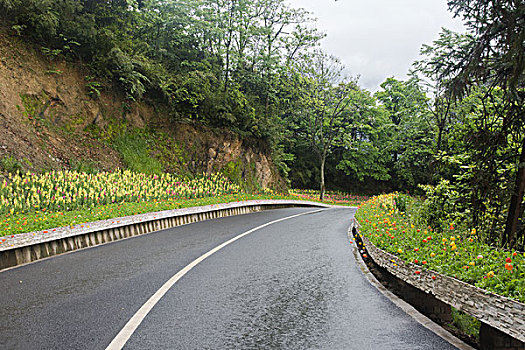 鲜花公路