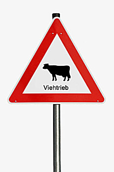 警告标识,德国,牛